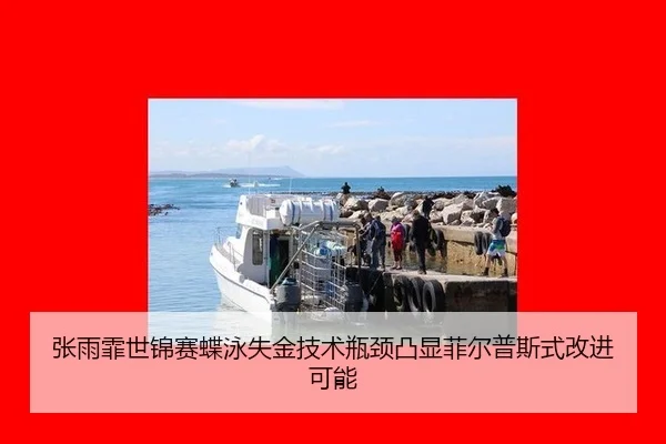 zhang-yu-fei-shi-jin-sai-die-yong-shi-jin-ji-shu-ping-jing-tu-xian-fei-er-pu-si-shi-gai-jin-ke-neng-3-611.jpg